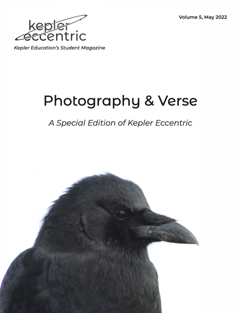 Kepler Eccentric Magazine Vol. 5 | Summer 2022